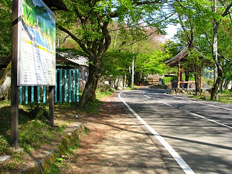 池田町の観光道