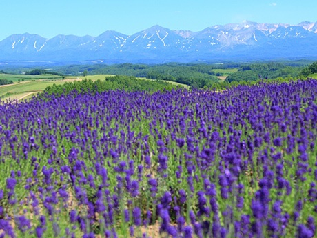 北海道の景色