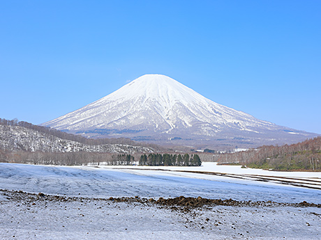 喜茂別町の羊蹄山