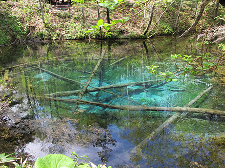 北海道清里町の神の子池