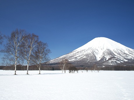 北海道の羊蹄山を臨む景色