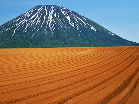 真狩村の羊蹄山と畑