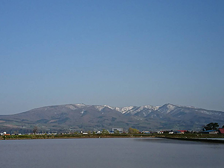 妹背牛町の風景