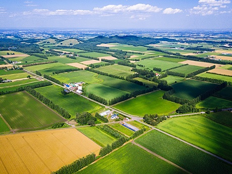 空から見る北海道