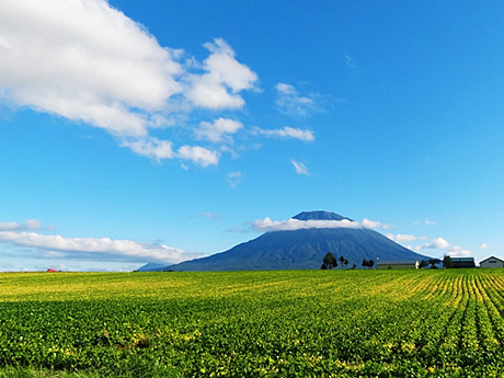 夏のニセコ町の風景