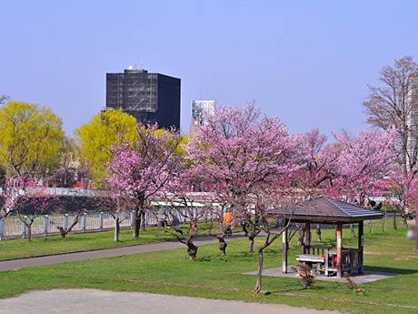 札幌市西区にある発寒湖畔公園