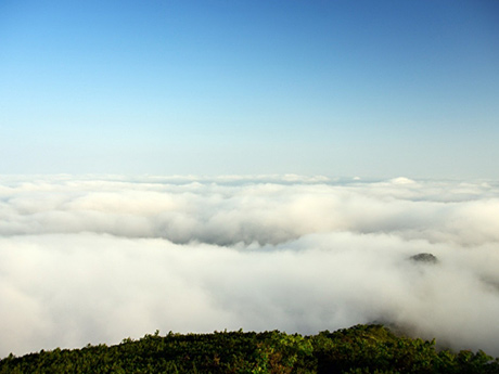 占冠村のトマム雲海