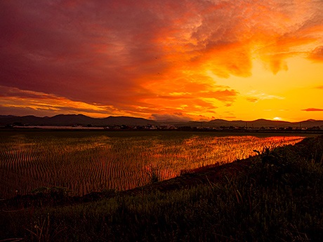 鷹栖町から眺める夕陽